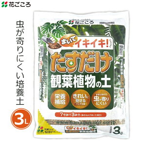 Ԃ ϗtA̓y 3L |{y ϗtA  py ɂ    A ƒp |py