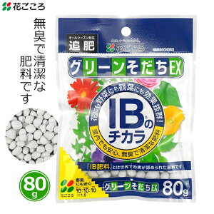 Ԃ 엿 ǔ 80g L  IB엿 IB̃`J O[EX   {  Ɍ I[V[Y   ƒ؉ |