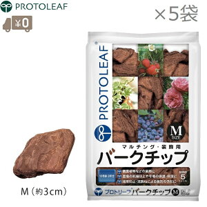 vg[t o[N`bv M 25L(5L×5) }`O Ebh`bv   diy ϗtA i