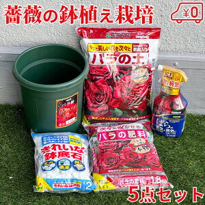 o ͔| KN  엿 |{y  EEێE 5_Zbg S҃Zbg X^[^[Zbg X^[^[Lbg A | K[fjO 