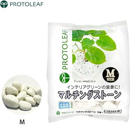 プロトリーフ マルチングストーン 白 M 1kg マルチング材 庭 おしゃれ 鉢石 観葉植物 装飾品 diy