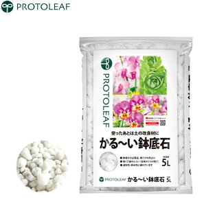 vg[t  y y 5L ėp\ yǍ  y 