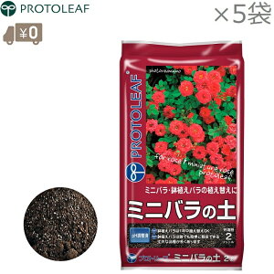 vg[t ~jo̓y 10L(2L×5) opy KNpy KNp̓y o͔|p |{y 