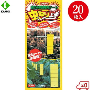 J ͔S  V[g  e[v SV[g ߒV[g ߂V[  20 ʔSV[g RiW~ nEX͔|