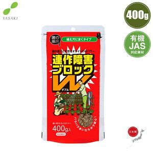 { yǍ AQubNW 400g yǍ ۂ̍` L@͔| yǎ i y _n  A VR[ICg ƒ؉ K[fjO