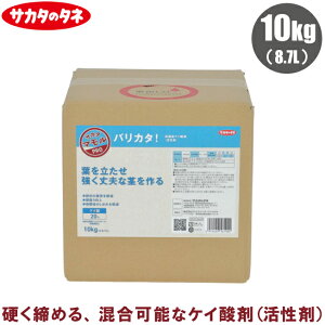 TJ^̃^l t oJ^ 10kg  g}g PC_ t̔엿 t엿  tʎUz 󐅎{ PC_ ʕ 