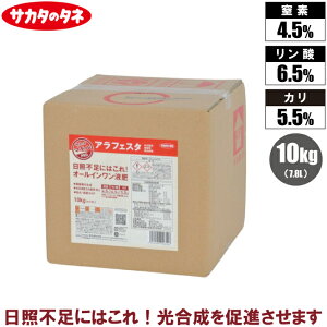 TJ^̃^l AtFX^ 10kg t t̔엿 t엿  ʕ ƕs΍ ALAz@\t Ɩp