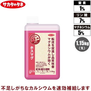 TJ^̃^l t 1.15kg(1L) zX}O }OlVE  t̔엿 t엿 tʎUz 󐅎{ ʕ _ }OlVEz_t