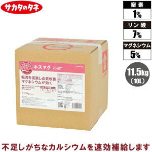 TJ^̃^l t 11.5kg(10L) zX}O }OlVE  t̔엿 t엿 tʎUz 󐅎{ ʕ _ }OlVEz_t