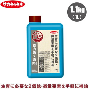 TJ^̃^l t S͂F14 1.1kg(1L) t̔엿 g}g C`S t엿 2S  tʎUz 󐅎{ ʕ vft  }OlVE  ߎ 2Szʗvft