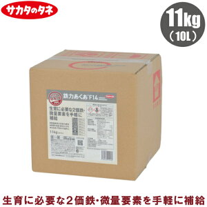 TJ^̃^l t S͂F14 11kg(10L) t̔엿 g}g C`S t엿 2S  tʎUz 󐅎{ ʕ vft  }OlVE  ߎ 2Szʗvft