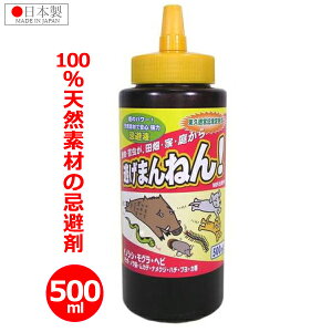  ܂˂ t̃^Cv 500ml  b ΍  { VRf CmVV  wr Jf iNW  L n` u   K[fjO ȒP T