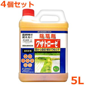  NTg[[ 5L 4Zbg 20L n ԏ H  ^ _Ǝ |pi _