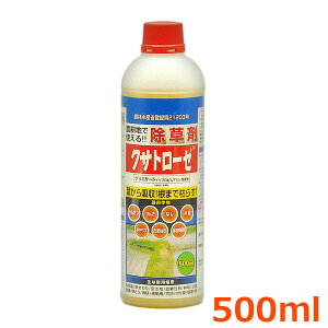  NTg[[ 500ml n ԏ H  ^ _Ǝ |pi _