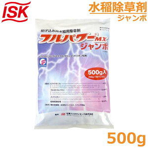 p tp[MXW{ 500g c mrG3.5t܂ ꔭ _ 