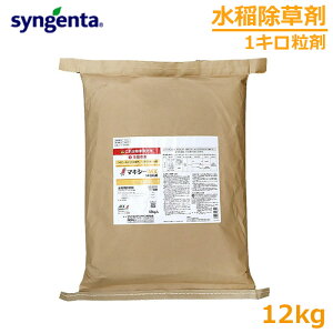 p }LV[MX1L 12kg c SURG z^C RiM ~YAIC _ 