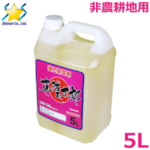  5L  ͂ꑾY _knp n ԏ H  ^ G΍ I𐫏 ߃^Cv OzT[g