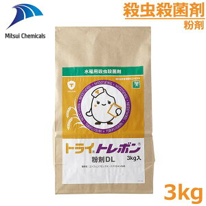 EEۍ gCg{DL 3kg a EJ c}ORoC _ JV _ 