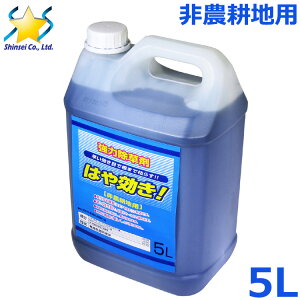  5L  ͂I _knp n ԏ H  ^ G΍ I𐫏 ߃^Cv OzT[g