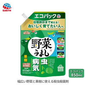 ؂܂ GRpbN 850ml EEۍ t  aC \h E Eۍ  Uz Q a aQ  ʎ   A A[XK[f A[X