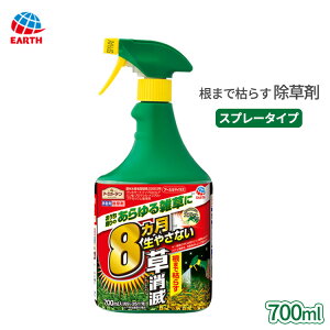 A[XJ}CY  Xv[ 700ml  t     hN_~ XMi TT XXL ΍ t  ԏ G A[XK[f A[X