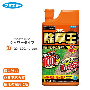  J_  Ub\[WG[X 1L V[^Cv  ͂ OzT[g t  G XMi hN_~ XXL NG NG  ԏ 󂫒n t}L[