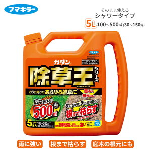  J_  Ub\[WG[X 5L V[^Cv  ͂ OzT[g t  G XMi hN_~ XXL NG NG  ԏ 󂫒n t}L[