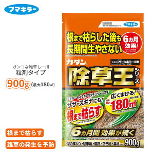  J_  I[L[  900g  ͂ \h 6Ԍʎ O 珉  G TT M XXL XMi NG NG ԏ Ƃ܂ t}L[