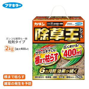  J_  I[L[  2kg  ͂ \h 6Ԍʎ O 珉  G TT M XXL XMi NG NG ԏ Ƃ܂ t}L[