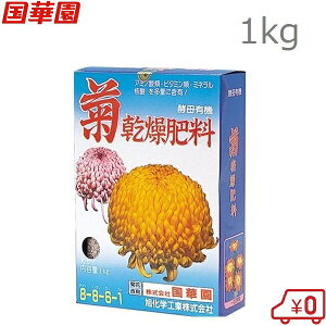 ؉ e엿 1kg ep 엿  e͔|엿 e͔|p LN 