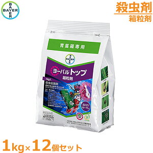 EEۍ [ogbv 1kg×12Zbg cp a t͕b _ 