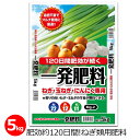 一発肥料 ねぎ類専用 5kg 肥料 ねぎ 玉ねぎ タマネギ にんにく 長ネギ 野菜 マルチ栽培 肥効約120日 長期効果 簡単 苦…