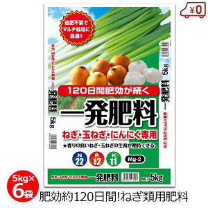 ꔭ엿 ˂ސp 5kg×6 30kg 엿 ˂ ʂ˂ ^}lM ɂɂ lM  }`͔| 120  ȒP y ƒ؉  | K[fjO