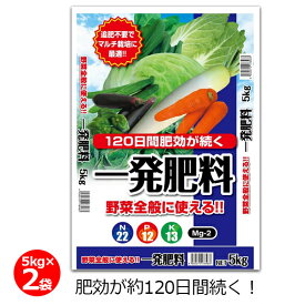 一発肥料 野菜全般用 5kg×2袋 10kg 肥料 野菜 肥効約120日 長期効果 簡単 粒状 苦土入り 家庭菜園 畑 園芸 ガーデニング