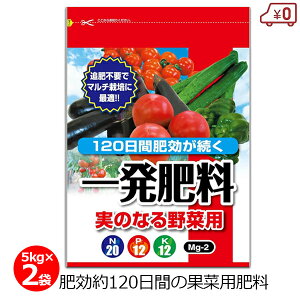 ꔭ엿 ʍؗސp 5kg×2 10kg 엿 g}g Ȃ イ ʍ  }`͔| 120  ȒP  y ƒ؉  | K[fjO