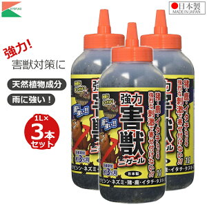 AteB ͊QbjQ[ 1L 3Zbg   nNrV C^` ^kL ACO} L 