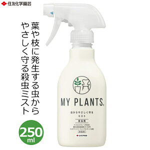 }Cvc ₳~Xg 250ml E E~Xg EXv[ ϗtA |p o AuV RiW~ n_j JCKV Q 쏜 K[fjO ƒp ZFw