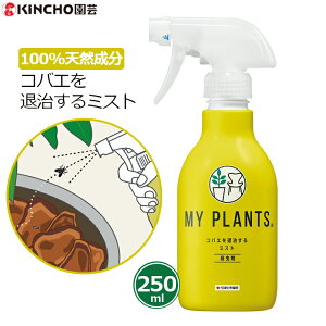 }Cvc RoGގ~Xg 250ml E E~Xg EXv[ VR100% ϗtA   RoG LmRoG `EoG Q 쏜 ƒp L`[| ZFw|