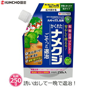 iNW 쏜 E  250g igbNX U 쏜 ΍ Jɋ  1 ƒ؉  v^[Ԓd ϗtA ƒp _o^i ZFw| L`[|