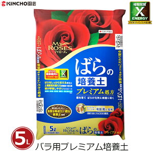 }C[Y o̔|{y 5L o̓y op |py |{y o KN ͔| | ƒp v~A ͔ ty oCIXeB~g͉tz L`[|