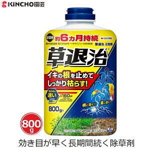  800g ގE  G ΍   6 ԏ H n ƒp XMi `K J^o~ ZFw| L`[|