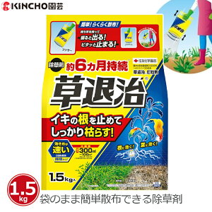  1.5kg ގE  G ΍   6 ԏ H n ƒp XMi `K J^o~ ZFw| L`[|