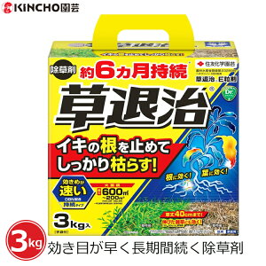  3kg ގE  ܕt G ΍   6 ԏ H n ƒp XMi `K J^o~ ZFw| L`[|