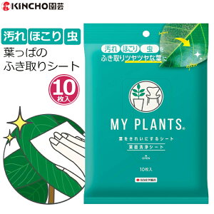 }Cvc tꂢɂ V[g ϗtA t N[i[ ق ق  @Ƃ @ |p n_j JCKV  K[fjO ƒp L`[ ZFw| 