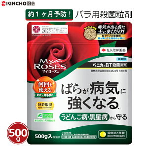 }C[Y Eۍ o op }C[YxjJBTEۗ 500g ǂ񂱕a a aC \h KN I[KjbN͔| L@JASKi JԂUz\ L`[|