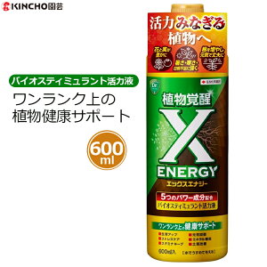 A͍ A oCIXeB~g ͉t X-ENERGY 600ml Abv XgXPA ƕs ΍   n[u ϗtA K[fjO ƒp ZFw| L`[|
