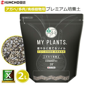 }Cvc |{y AKx A 򍪐Ap 2L  R[fbNX  v~A|{y ₩ɈĂ\C  RoG΍   ƒp ZFw| MY PLANTS