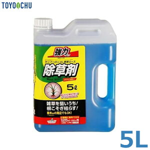 g`[ |p Tt[  5L ߍς  Ԓd G ΍ 쏜 K[fjO