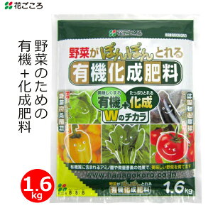 Ԃ ؂̗L@엿 1.6kg 엿  ƒ؉ L@z v^[ Ԓd | K[fjO