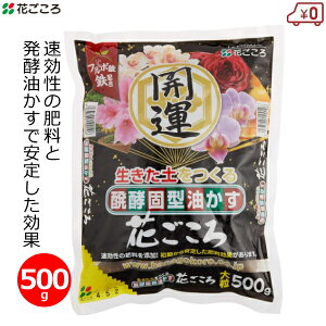 Ԃ 엿 500g 嗱 y C ~   VrWE  Ԓd ʎ | K[fjO  